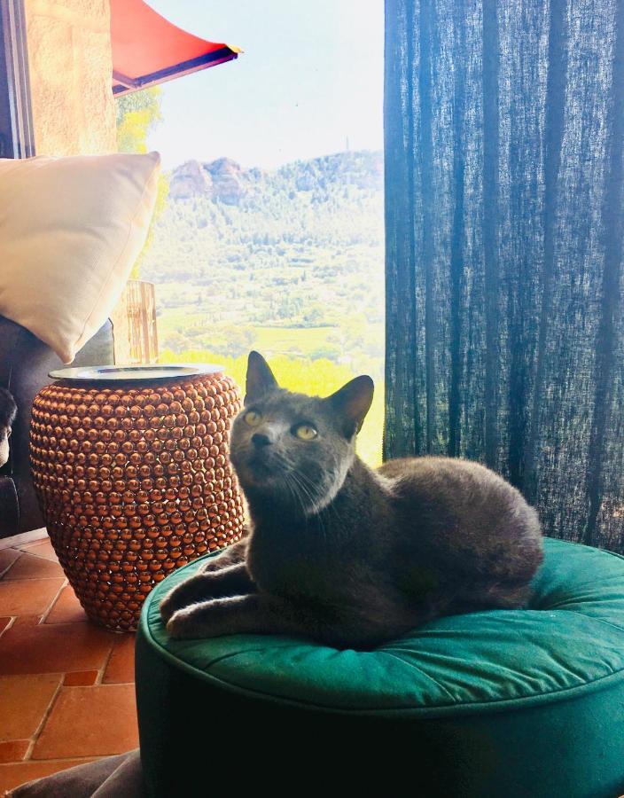 Villa Andrea カシ エクステリア 写真